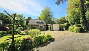 Photo 23- click for photo gallery